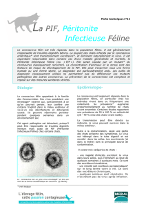 La PIF, Péritonite Infectieuse Féline