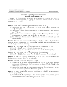 Théorie algébrique des nombres Feuille d`exercices n  4