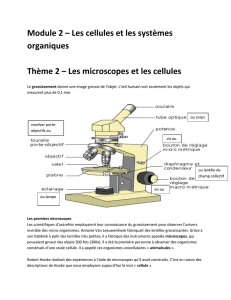Les microscopes et les cellules