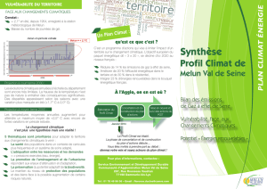 Synthèse Profil Climat