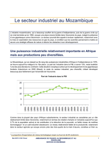 Le secteur industriel au Mozambique