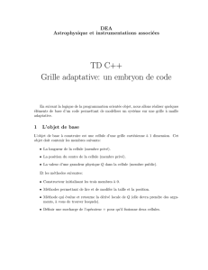 TD C++ Grille adaptative: un embryon de code