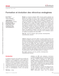 Formation et évolution des rétrovirus endogènes