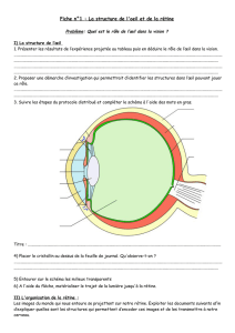 Fiche n°1 : La structure de l`oeil et de la rétine