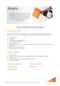 developpeur java editique