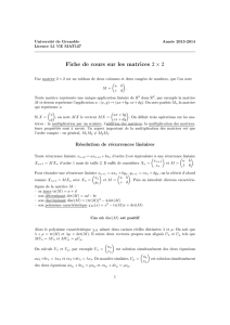 Fiche de cours sur les matrices 2 × 2