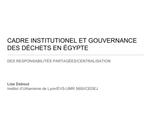 cadre institutionel et gouvernance des déchets en égypte