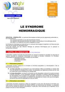 Syndrome hémorragique
