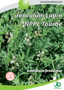 Inoculum Lupin NPPL Tourbe
