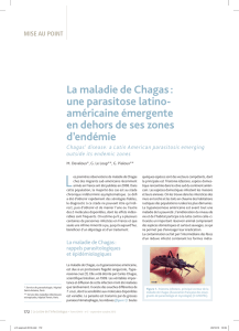 La maladie de Chagas : une parasitose latino- américaine