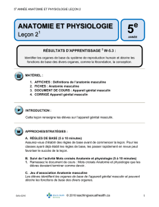 anatomie et physiologie - Teaching Sexual Health