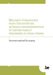 document explicatif scoping ()