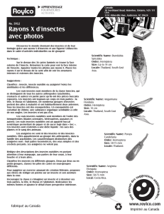 5912 Insect Xray and Picture Cards fr
