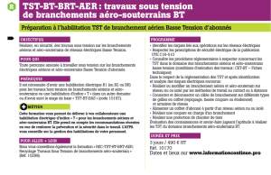 TST-BT-BRT-AER : travaux sous tension de