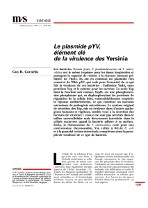 Le plasmide p YV, élément clé de la virulence des - iPubli