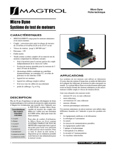 Micro Dyne Motor Testing System