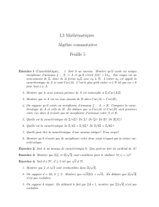 L3 Mathématiques Algèbre commutative Feuille 5