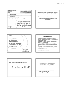 Microsoft PowerPoint - Formation pour cuisine - Palli