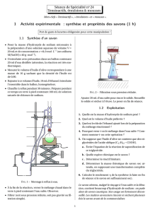 1 Activité expérimentale : synthèse et propriétés des savons (1 h)