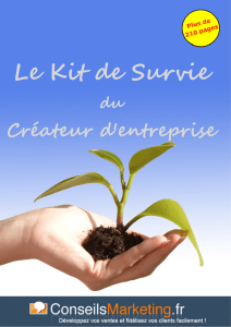 Le Kit de Survie - ConseilsMarketing.fr