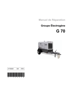 Manuel de Réparation Groupe Électrogène