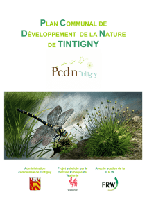 PCDN Tintigny - Commune de Tintigny