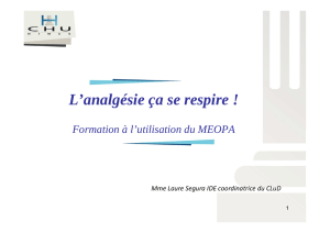 formation à l`utilisation du MEOPA 2015 (2)
