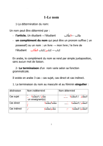 resume grammaire houssam printed