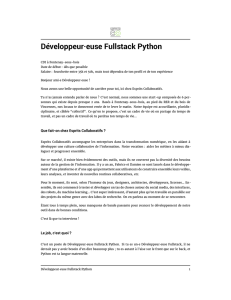 Développeur·euse Fullstack Python