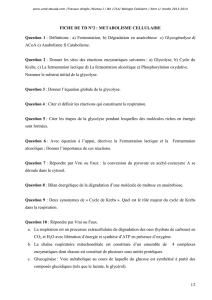 FICHE DE TD N°2 : METABOLISME CELLULAIRE Question 1