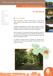 Le Ruchard - Parc naturel régional Loire-Anjou