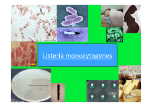 ListeriaMonocytogenes
