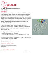 Kit PCR - Diagnostic microbiologique Ref : 117116 Descriptif