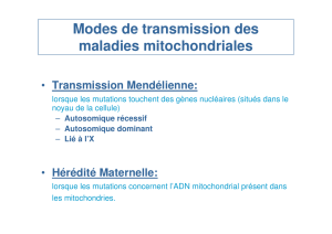 Modes de transmission des maladies mitochondriales