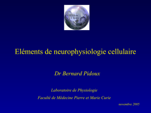Eléments de neurophysiologie cellulaire