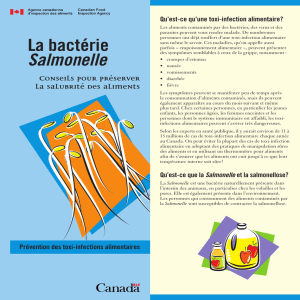 La bactérie Salmonelle - Publications du gouvernement du Canada