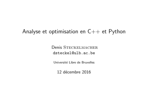Analyse et optimisation en C++ et Python