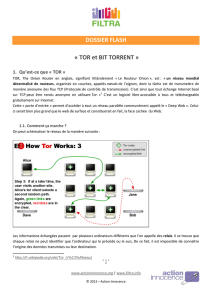 Tor-Bit Torrent