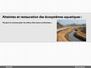 Atteintes et restauration des écosystèmes aquatiques :