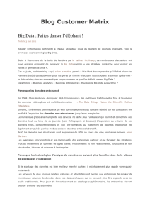 Big Data - Parisianavores