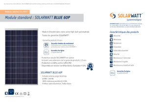 Module standard : SOLARWATT BLUE 60P