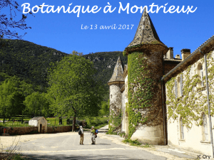 Botanique à Montrieux le 13 avril 2017
