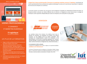Licence Professionnelle E-Commerce et marketing numérique