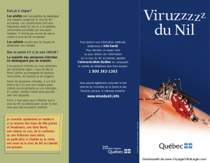 Virus du Nil - Voyager ultra leger