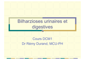 Bilharzioses urinaires et digestives - doc-developpement