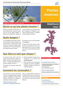 Plantes invasives - Contrat de rivière Meuse Aval