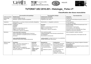TUTORAT UE2 2010-201– Histologie_ Fiche n°7