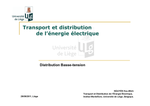 Transport et distribution de l`énergie électrique