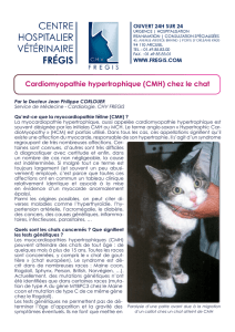 Cardiomyopathie hypertrophique (CMH) chez le chat