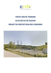 POSTE HAUTE TENSION 63 kV/20 kV DE GUICHE PROJET DE